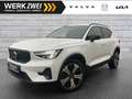 Volvo XC40 T5 Plus Dark Plug-In 2WD ACC 360° Allwetter Weiß - thumbnail 1