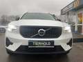 Volvo XC40 T5 Plus Dark Plug-In 2WD ACC 360° Allwetter Weiß - thumbnail 10