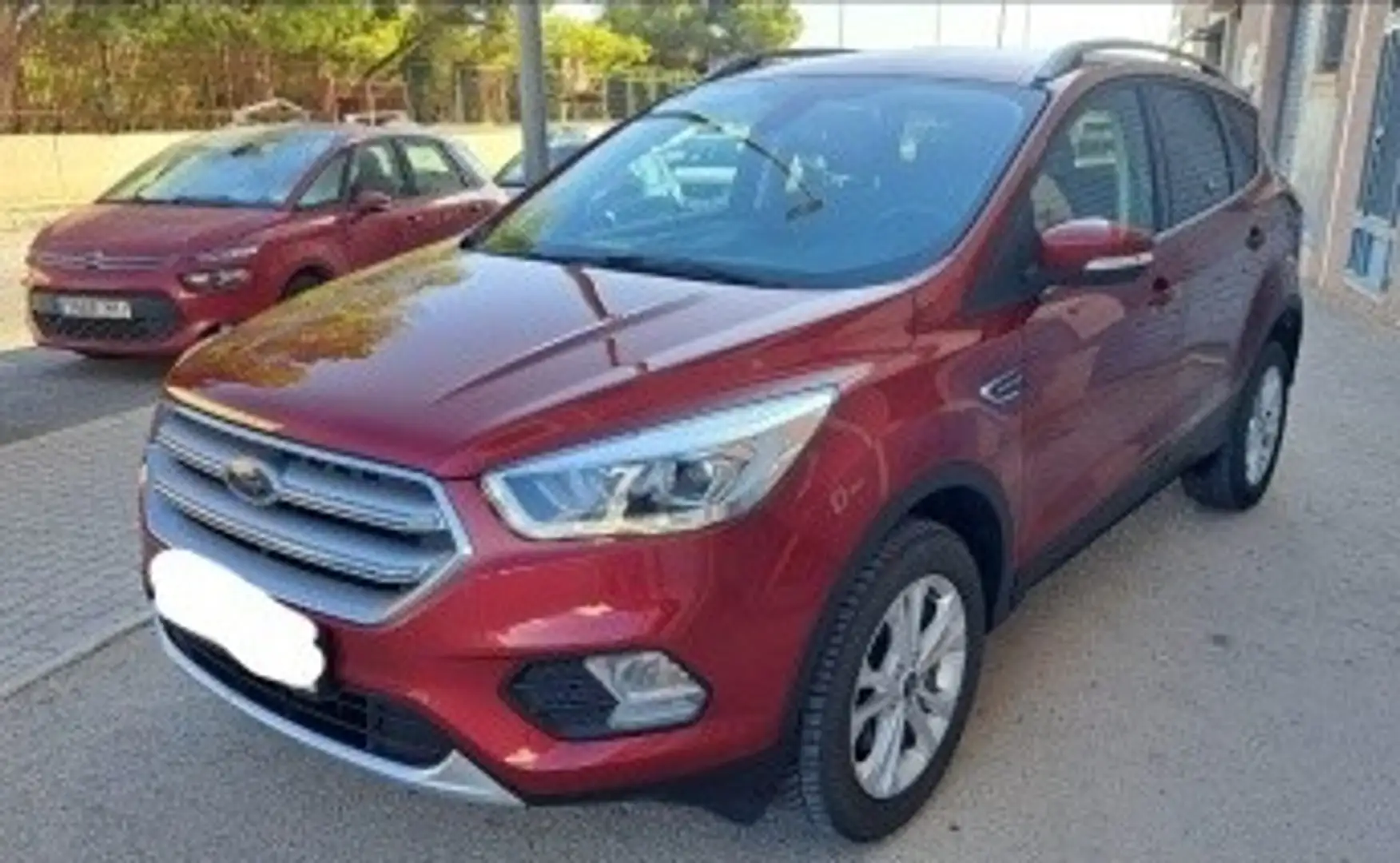 Ford Kuga 1.5 EcoBlue Titanium FWD 120 Rojo - 2