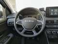 Dacia Jogger Extreme Go 74kW (100CV) ECO-G 7 plazas Gris - thumbnail 16