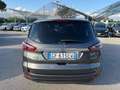 Ford S-Max N1 AUTOCARRO 2.0 ecoblue Titanium Business GF615EW Argento - thumbnail 7