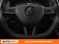 Skoda Karoq 2.0 TDI Sportline 4x4 Schwarz - thumbnail 19