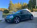 Volkswagen Beetle 2,0 TDI BMT Comfortline Grün - thumbnail 11