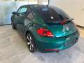 Volkswagen Beetle 2,0 TDI BMT Comfortline Grün - thumbnail 5
