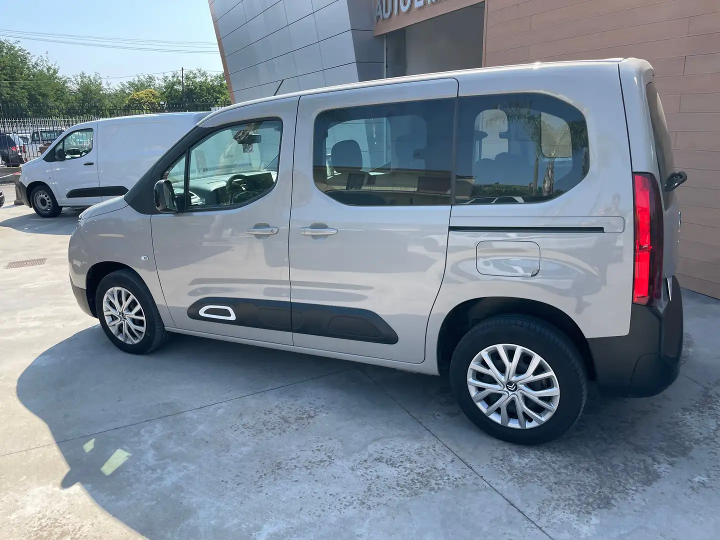 Citroen Beige - 2