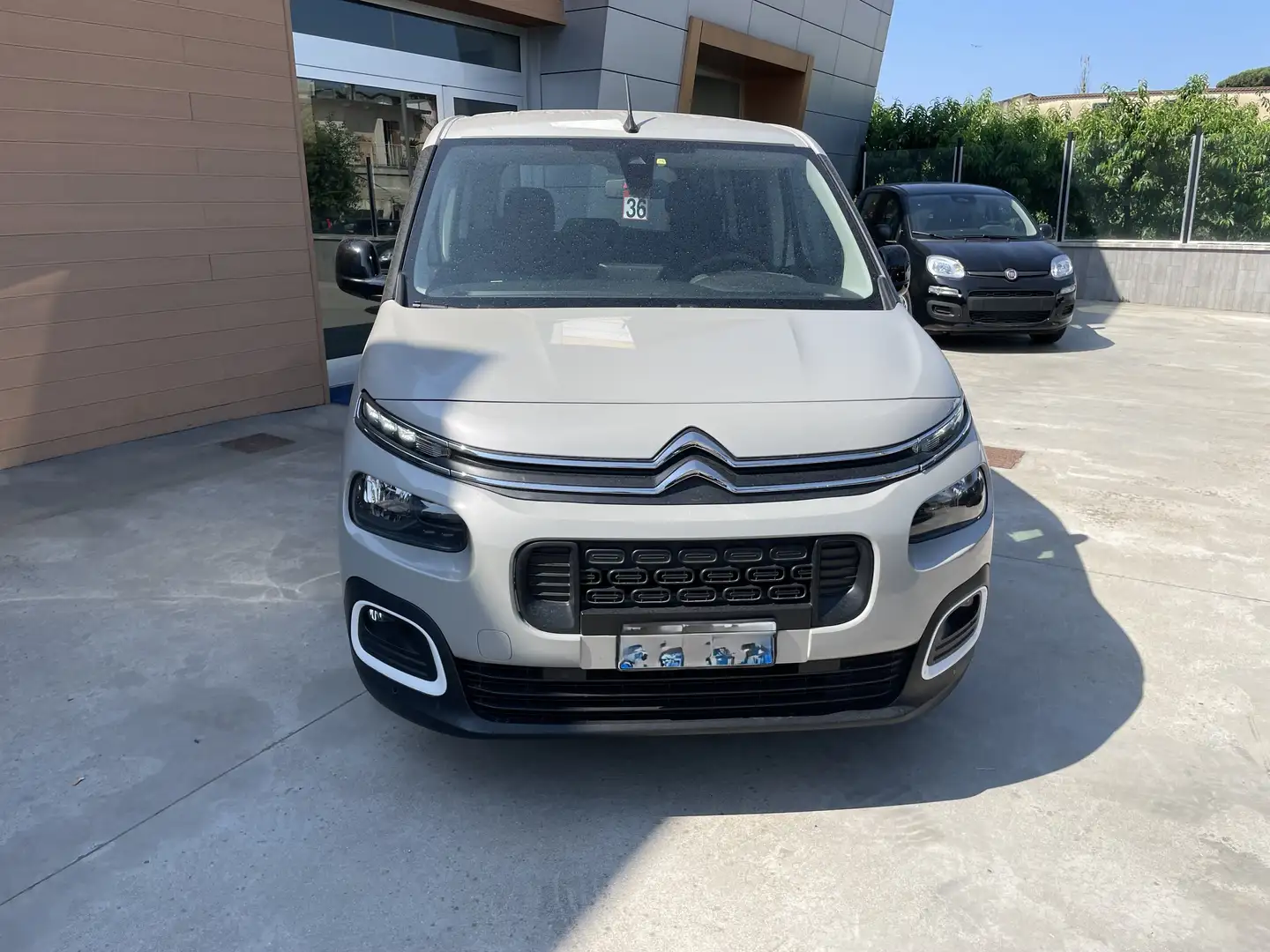 Citroen Beige - 1