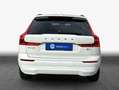 Volvo XC60 XC60 B4 B Geartronic Momentum Pro Weiß - thumbnail 5