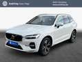 Volvo XC60 XC60 B4 B Geartronic Momentum Pro Weiß - thumbnail 1