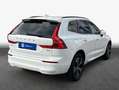 Volvo XC60 XC60 B4 B Geartronic Momentum Pro Weiß - thumbnail 2