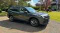 Subaru Forester 2.0ie EDITION BLACK PLATINUM* Grau - thumbnail 6