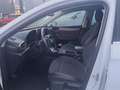 SEAT Leon 1.5 TSI S&S Xcellence 150 Blanco - thumbnail 12