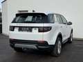 Land Rover Discovery Sport D150 4WD Aut. S*Leder*Rückfahrkamera*Elektr.sitz* Weiß - thumbnail 6