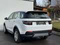 Land Rover Discovery Sport D150 4WD Aut. S*Leder*Rückfahrkamera*Elektr.sitz* Weiß - thumbnail 5