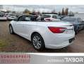 Opel Cascada 1.4 Turbo Innovation Navi Xen SHZ PDC Weiß - thumbnail 4