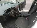 Ford Tourneo Courier Ford transit courier 1.0 Bianco - thumbnail 5