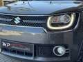 Suzuki Ignis 1.2 GLX 2WD Gris - thumbnail 46