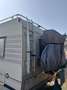 Fiat Ducato Panorama 2.5 diesel Wit - thumbnail 2
