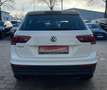 Volkswagen Tiguan IQ.DRIVE 2,0 TDI DSG RFK ACC Lane Park As Bianco - thumbnail 4
