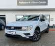 Volkswagen Tiguan IQ.DRIVE 2,0 TDI DSG RFK ACC Lane Park As Blanc - thumbnail 1