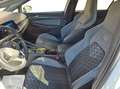Volkswagen Golf 1,5 TSI|R-Line|DSG|Matrix-LED|PANO|RFK *SOFORT ... Weiß - thumbnail 9