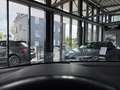 Volkswagen Tiguan R-Line DSG 4Motion*ACC*360°KAM*AHK*LED* Blau - thumbnail 22