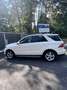 Mercedes-Benz GLE 250 d 9G-TRONIC AMG Line - thumbnail 4