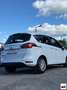 Ford B-Max 1.5 TDCi 75CV Business Titanium Bianco - thumbnail 2