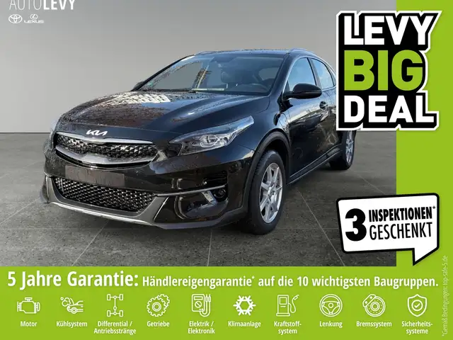 Kia XCeed 1.6 Vision 2xKlima AUT DynLicht Kam. LED