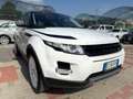 Land Rover Range Rover Evoque Range Rover Evoque 2.2 Sd4 5p. British Edition Dyn Bianco - thumbnail 8