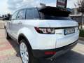 Land Rover Range Rover Evoque Range Rover Evoque 2.2 Sd4 5p. British Edition Dyn Bianco - thumbnail 5