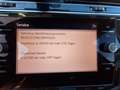 Volkswagen Tiguan Tiguan 1,5 TSI ACT Highline DSG Highline Schwarz - thumbnail 16