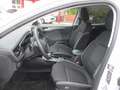 Ford Focus Turnier 1.5 EcoBlue Autom. *Navi*Sitzhzg. Weiß - thumbnail 7
