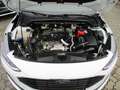 Ford Focus Turnier 1.5 EcoBlue Autom. *Navi*Sitzhzg. Weiß - thumbnail 14