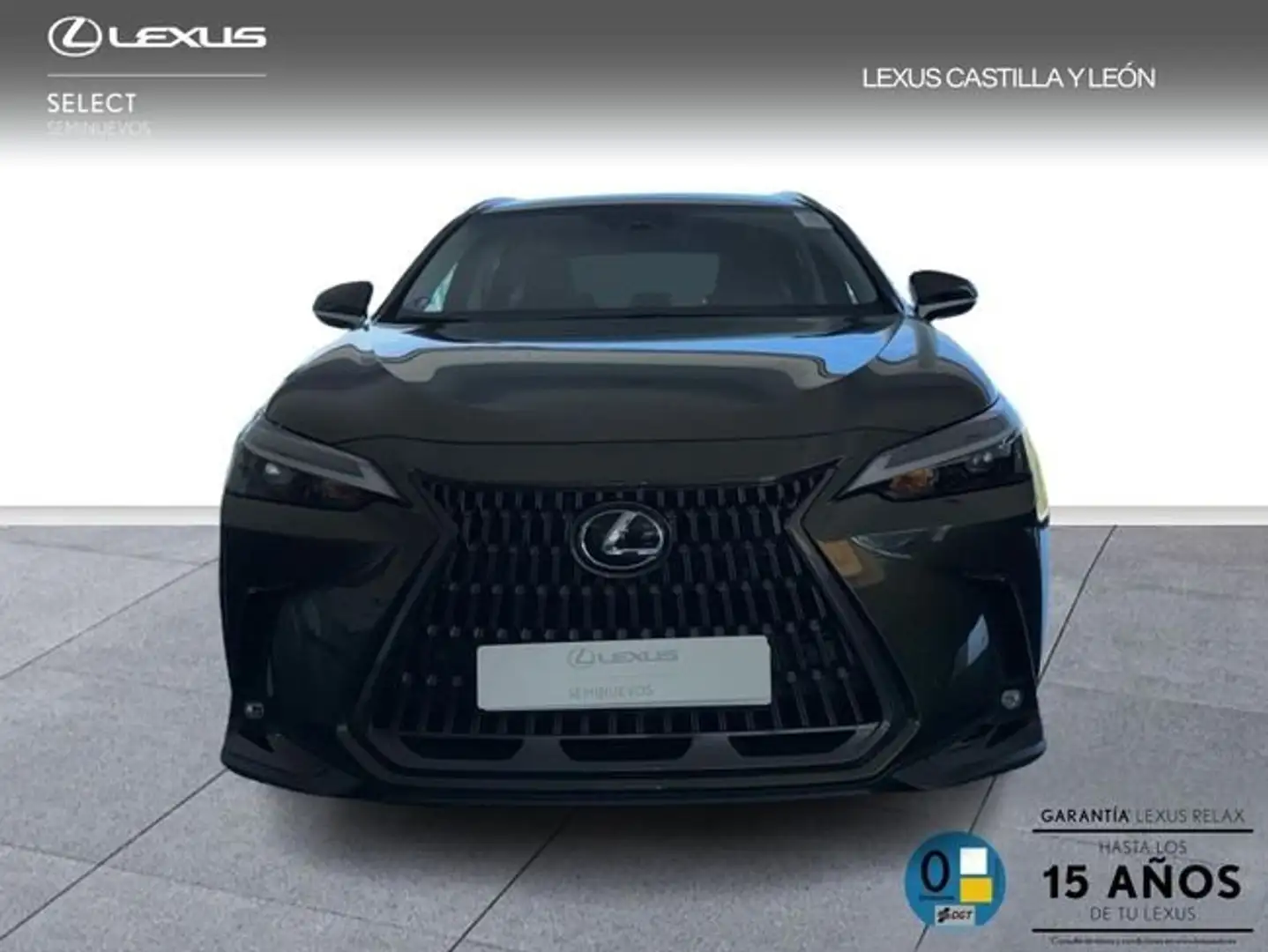 Lexus NX 450h+ 450H + PREMIUM + 4WD Verde - 2