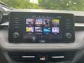 Skoda Fabia 1.0 mpi evo Ambition 80cv Gris - thumbnail 22
