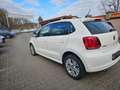 Volkswagen Polo 1.2 TSI Life DSG Scheckhft u-frei SHZ PDC Tuv 9/26 Weiß - thumbnail 3