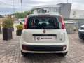 Fiat Panda 1.2 Easy 69cv 25.000km UNIPRO - thumbnail 8