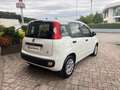 Fiat Panda 1.2 Easy 69cv 25.000km UNIPRO - thumbnail 7