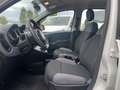 Fiat Panda 1.2 Easy 69cv 25.000km UNIPRO - thumbnail 11