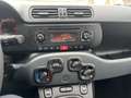 Fiat Panda 1.2 Easy 69cv 25.000km UNIPRO - thumbnail 15