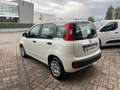 Fiat Panda 1.2 Easy 69cv 25.000km UNIPRO - thumbnail 9
