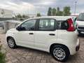 Fiat Panda 1.2 Easy 69cv 25.000km UNIPRO - thumbnail 5