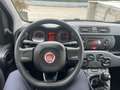 Fiat Panda 1.2 Easy 69cv 25.000km UNIPRO - thumbnail 13