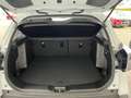 Suzuki S-Cross 1.4 Comfort Hybrid ALLGRIP Kamera, DAB Weiß - thumbnail 7
