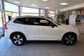 Volvo XC60 T6 eAWD PHEV Plus Dark Aut. Mj.2025 Bianco - thumbnail 4