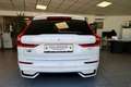 Volvo XC60 T6 eAWD PHEV Plus Dark Aut. Mj.2025 Bianco - thumbnail 7