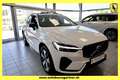 Volvo XC60 T6 eAWD PHEV Plus Dark Aut. Mj.2025 Blanc - thumbnail 1