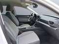 SEAT Leon 1.5 Style DSG eTSI OPF Klimaautom Apple CarPlay Rü Weiß - thumbnail 8