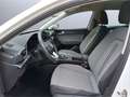 SEAT Leon 1.5 Style DSG eTSI OPF Klimaautom Apple CarPlay Rü Weiß - thumbnail 18