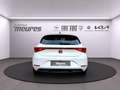 SEAT Leon 1.5 Style DSG eTSI OPF Klimaautom Apple CarPlay Rü Weiß - thumbnail 3